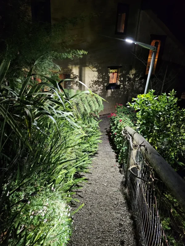 Well-lit garden pathway surrounded by lush greenery