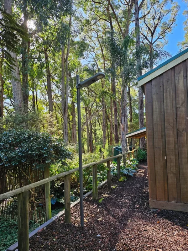 Pathway lined by trees and a wooden structure.