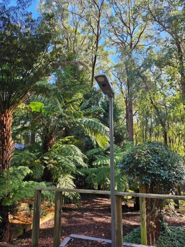 Outdoor setting with lush greenery and a lamp post.