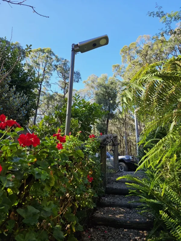 Pathway with flowers leading to a light post.